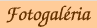 Fotogal�ria